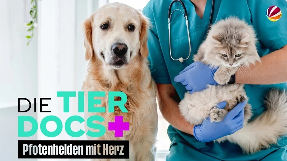 Die Tierdocs!